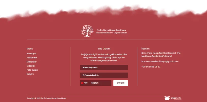 burcuozmendemirkaya.com-image-3