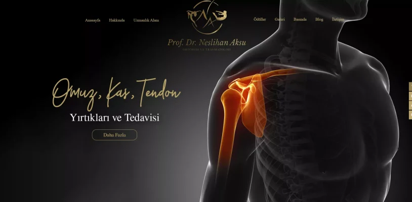 Prof. Dr. Neslihan Aksu-image-1