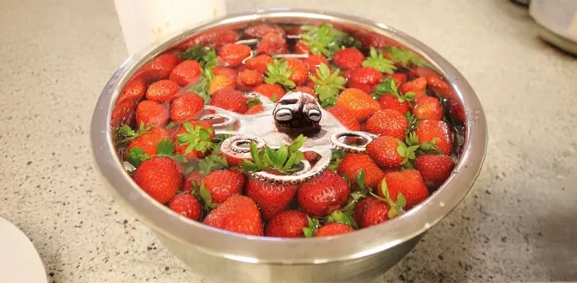 Lezzetin Adresi-image-1