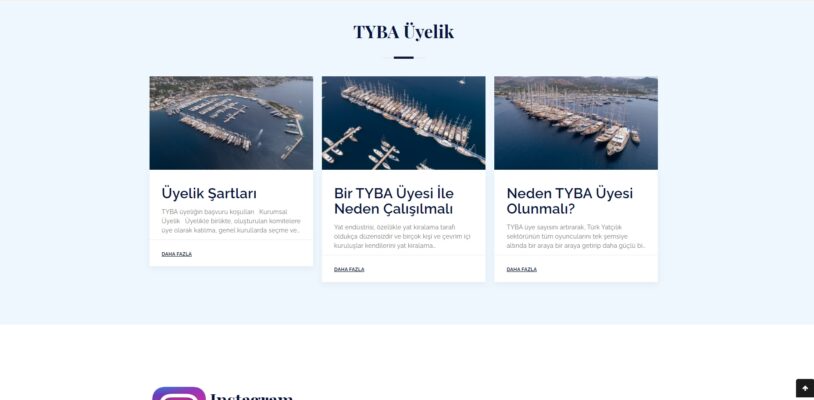 Tyba Turkey-image-1