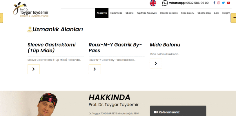 toygartoydemir-image-3