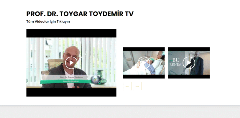 toygartoydemir-image-1