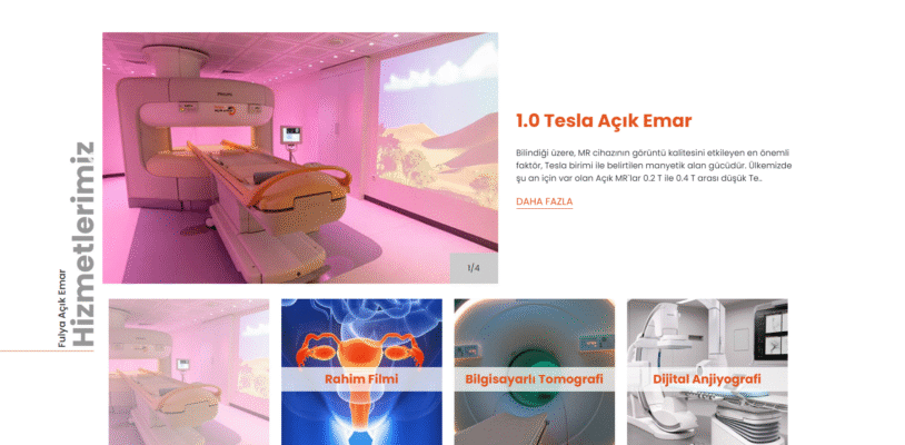 fulyaacikemar-image-1