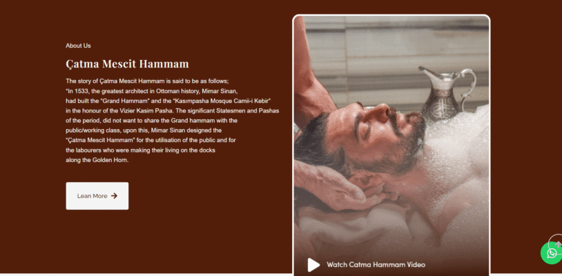 catmamescithamami-image-2