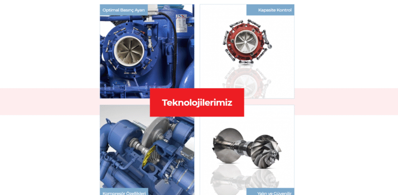 ihidalgakiran-image-2