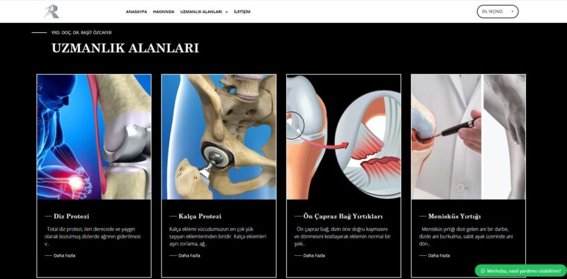 Rasit Özcafer-image-2